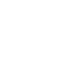 Speed Selector